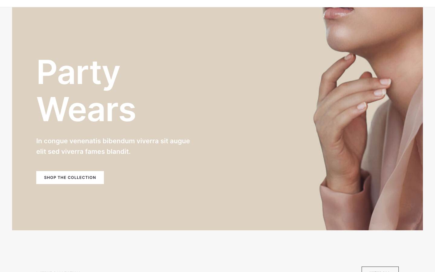 Fashion Designer desktop preview